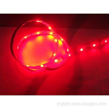 Battery Powered 5050SMD 60Leds/m LED Strip Lighting